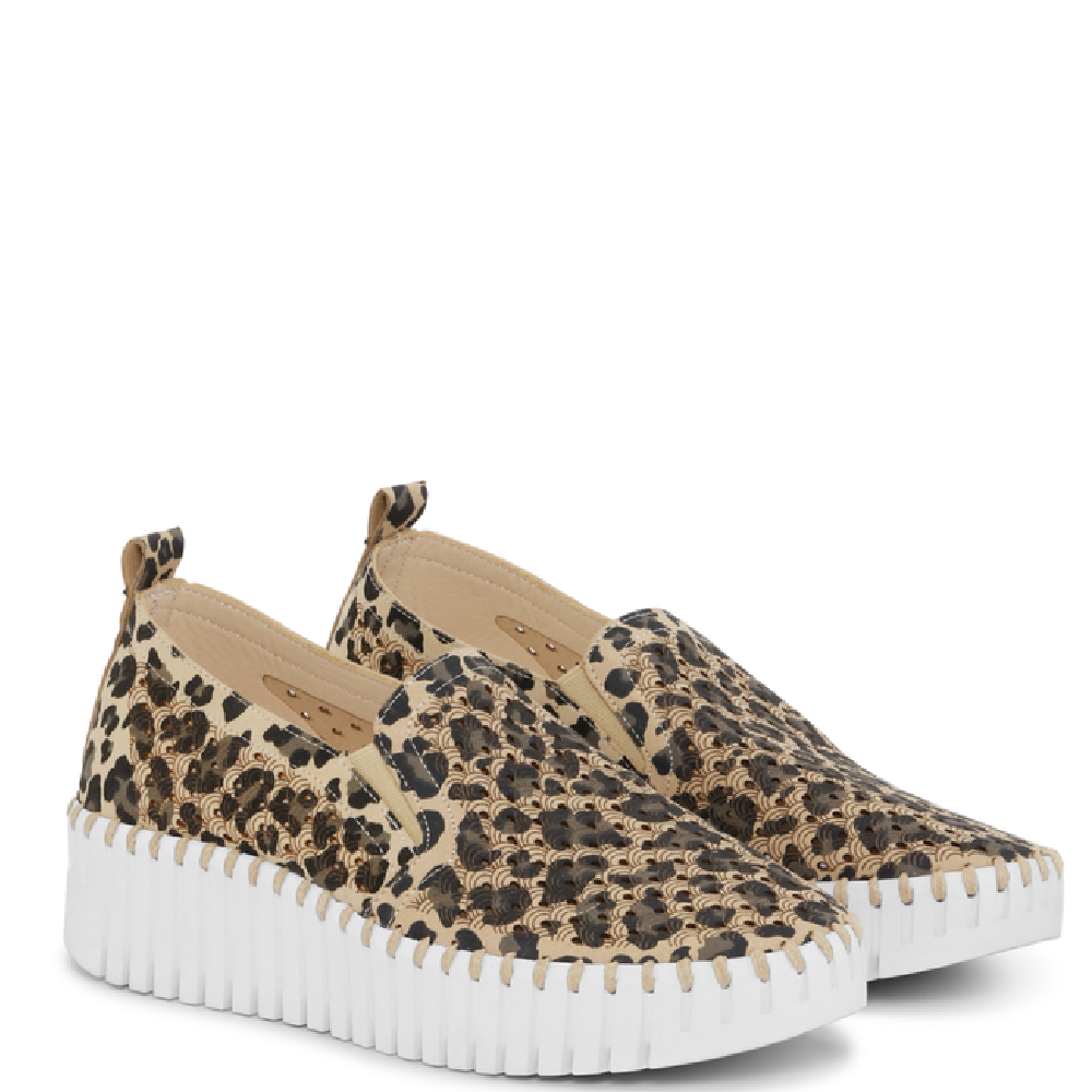 TULIP 4033 LEOPARD – Yarid's Shoes