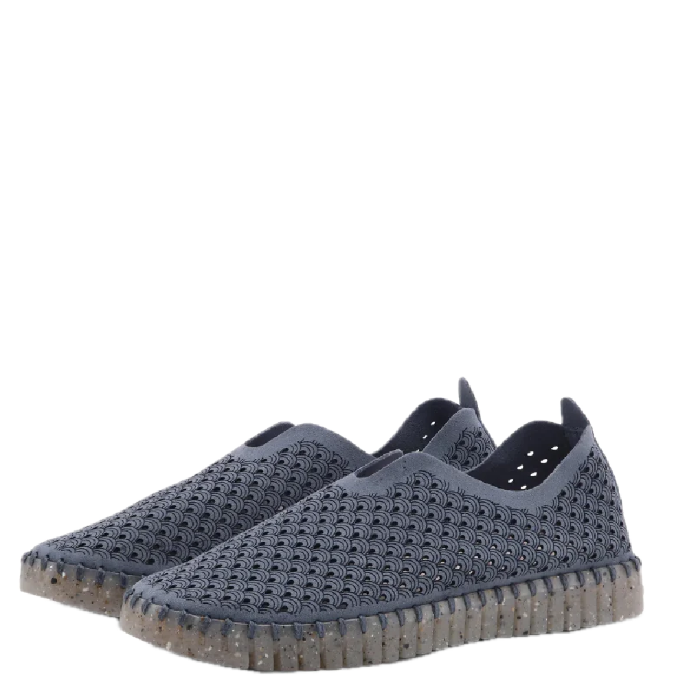 TULIP 3072 GREY BLUE