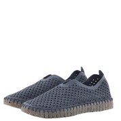 TULIP 3072 GREY BLUE
