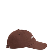 CLASSIC LOGO BROWN HAT