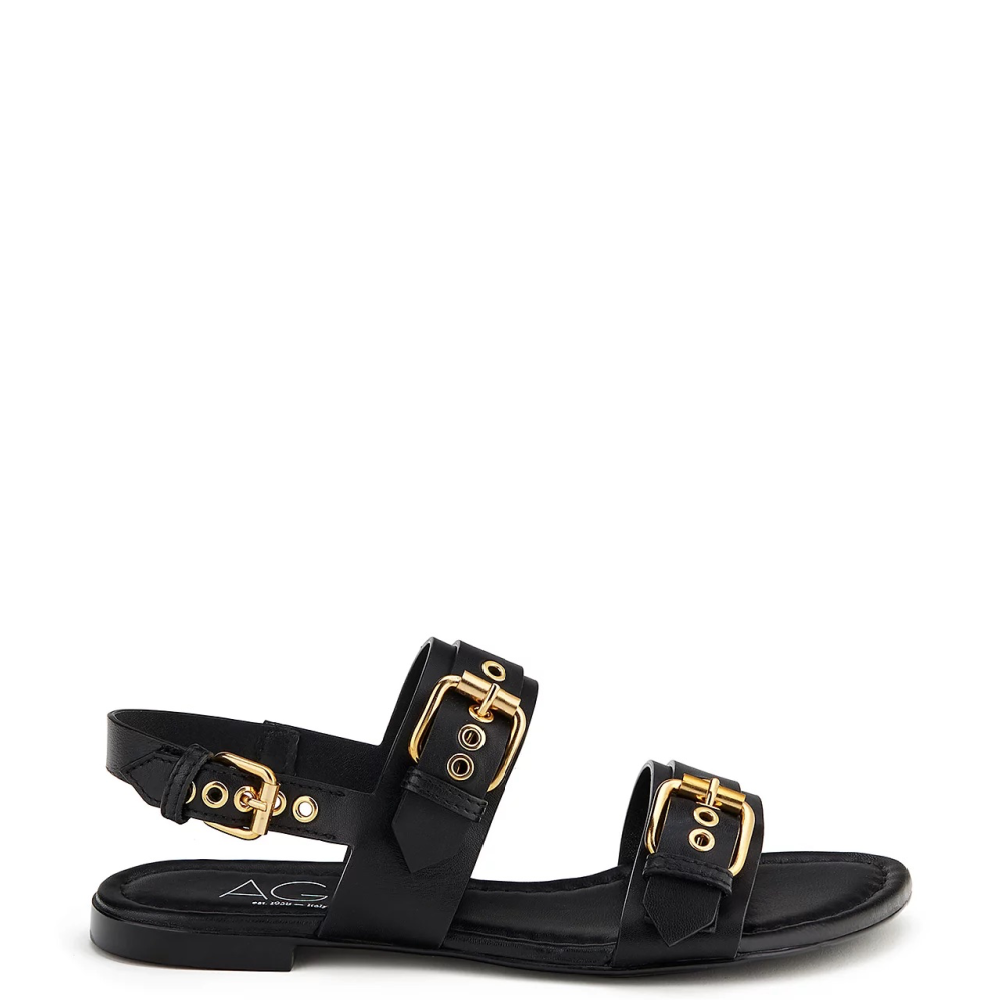 AGL – Yarid's Shoes
