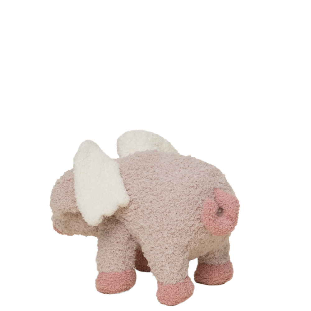 FLYING PIG BUDDIE