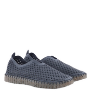 TULIP 3072 GREY BLUE