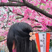 CHERRY BLOSSOM PINK CLAW CLIP