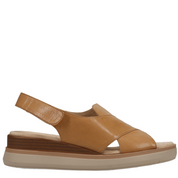 HYDRA ATHENA TAN