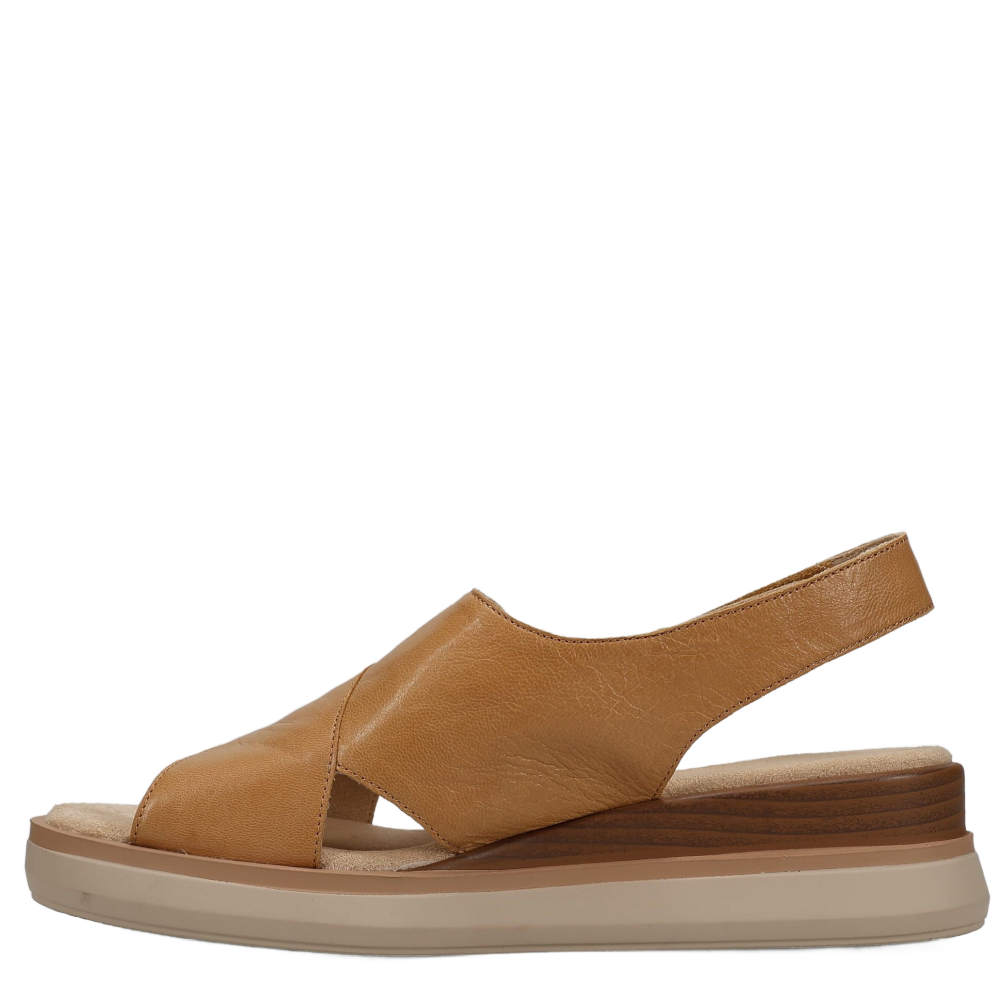 HYDRA ATHENA TAN