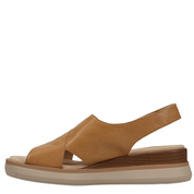 HYDRA ATHENA TAN