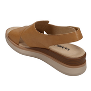 HYDRA ATHENA TAN