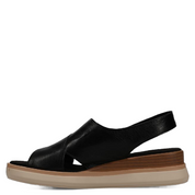HYDRA ATHENA BLACK
