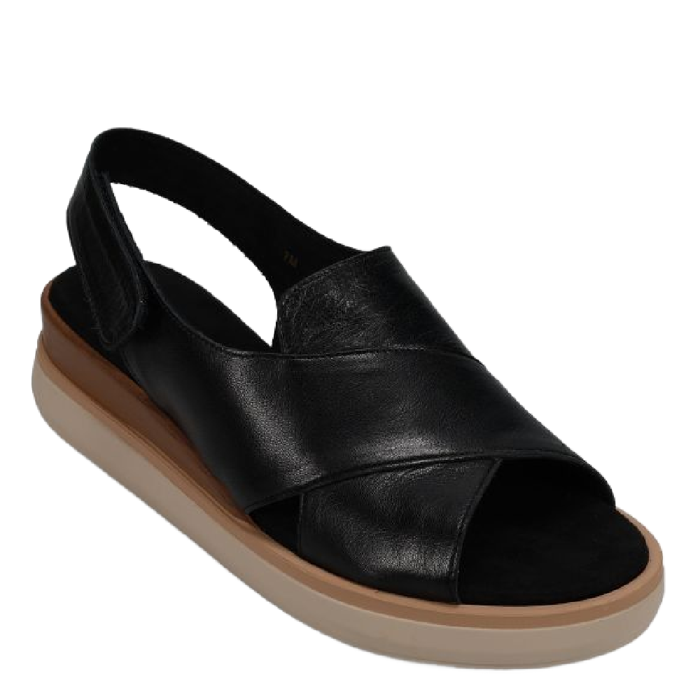 HYDRA ATHENA BLACK