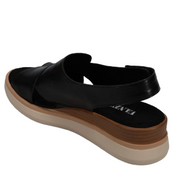 HYDRA ATHENA BLACK