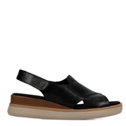 HYDRA ATHENA BLACK