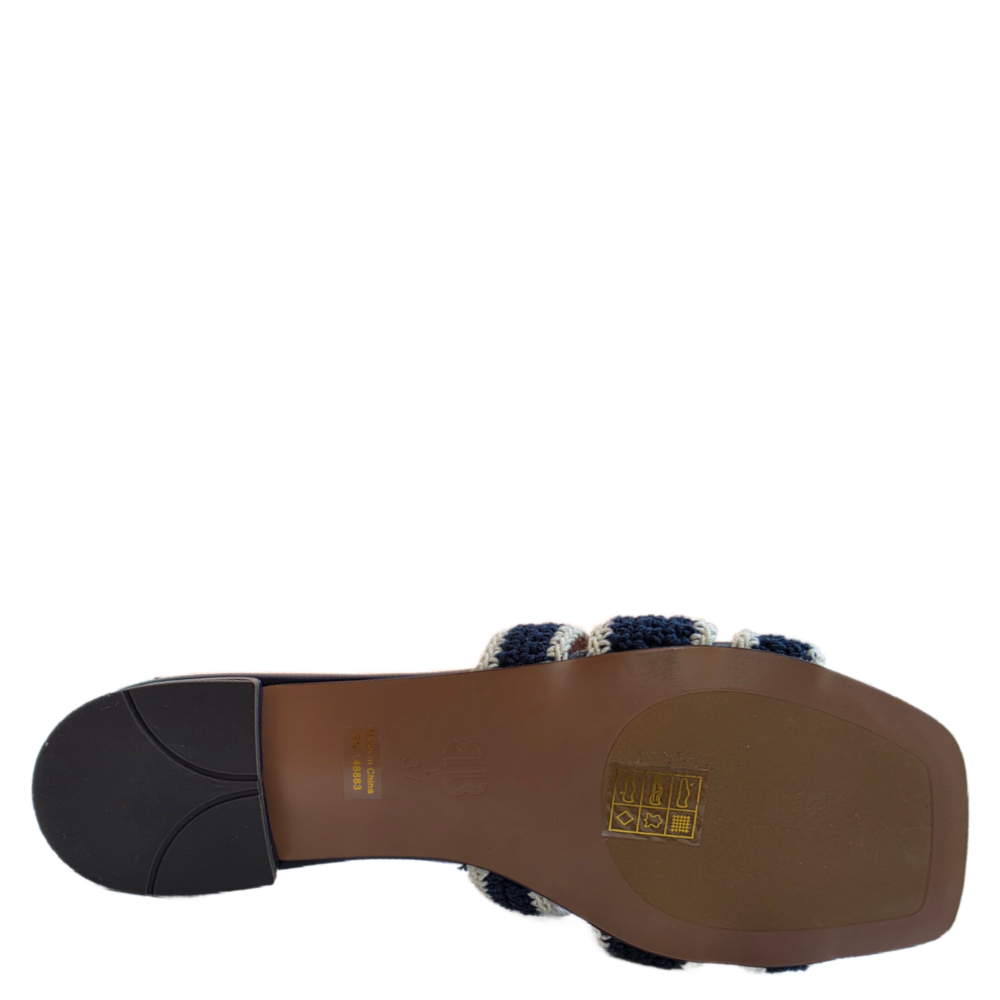 HOLLY NAVY