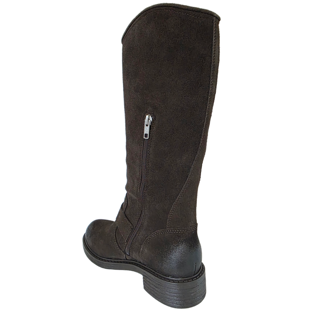 FREESIA BROWN