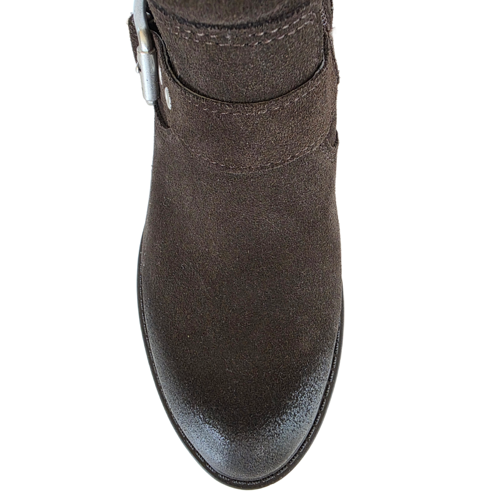 FREESIA BROWN