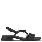 DREAM BLACK