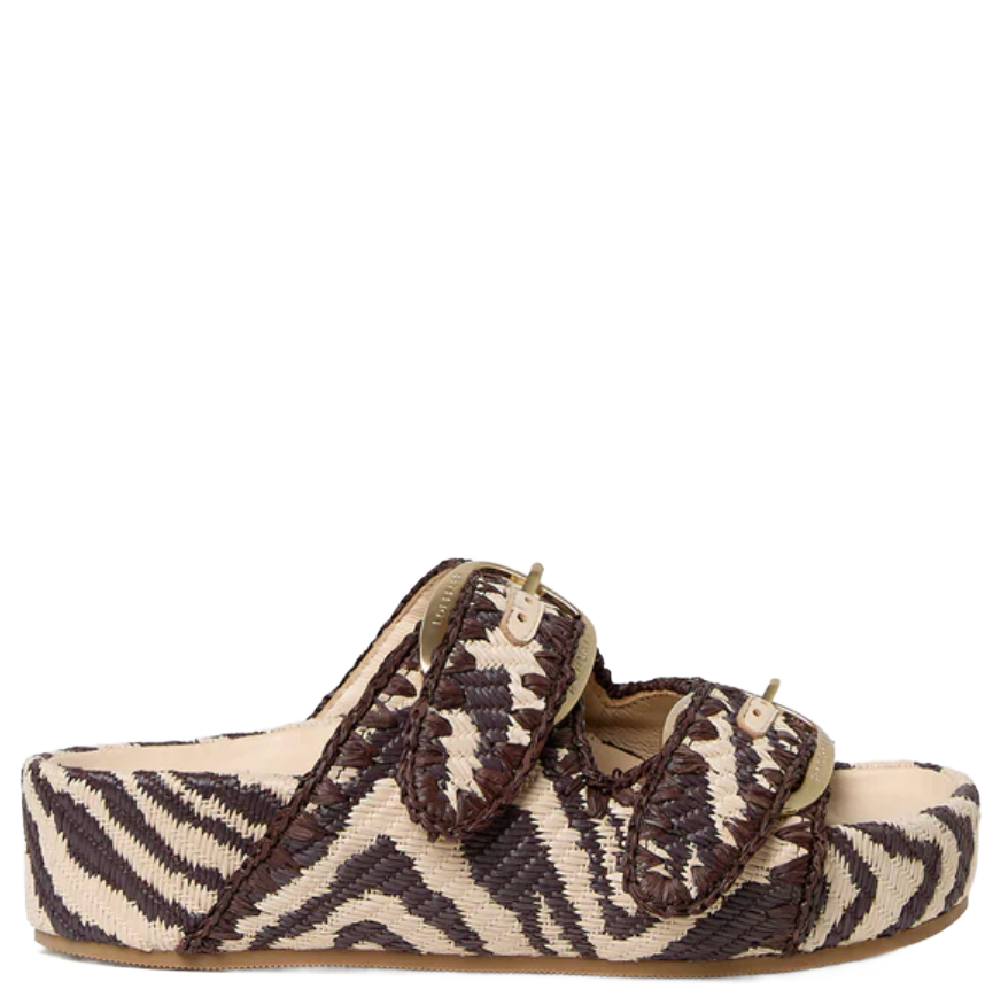 NICO ZEBRA