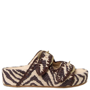 NICO ZEBRA