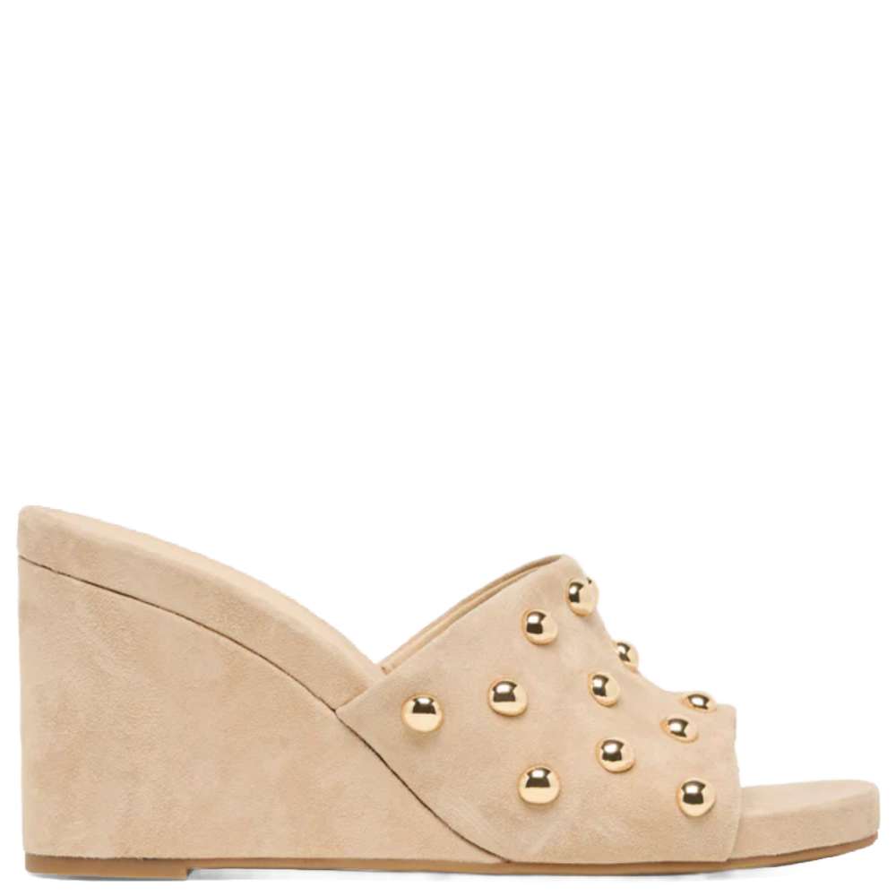 HOLTA STUD CAMEL