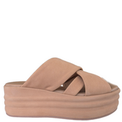 WANDERBAY DUSTY ROSE