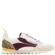 TORONTO SAFARI MULTI