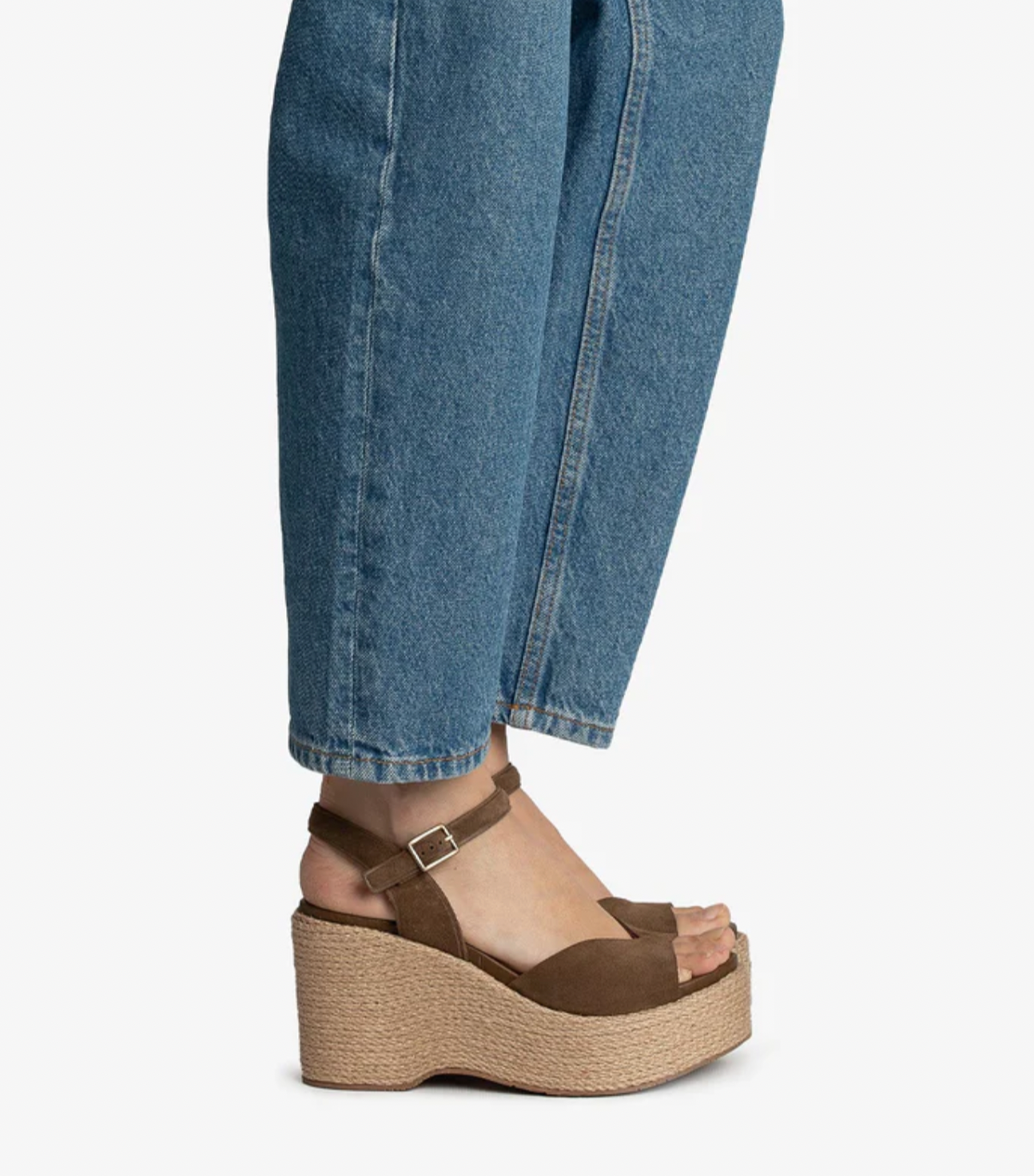 DOINA CASTORO CHOCOLATE