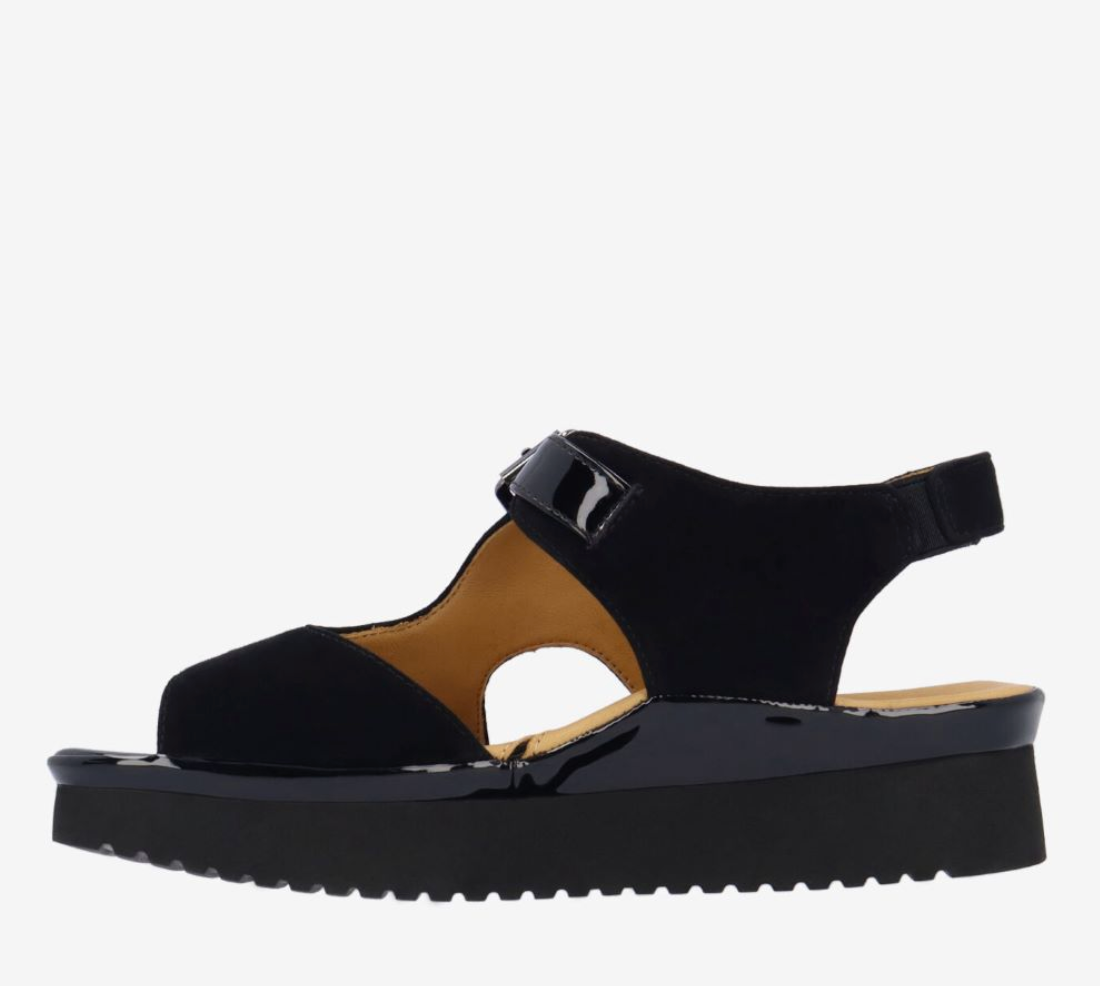 AZENOR BLACK