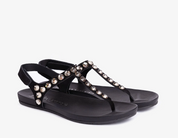 JUDITH CASTORO BLACK