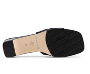 CLODIE NAVY