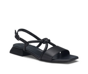 DREAM BLACK