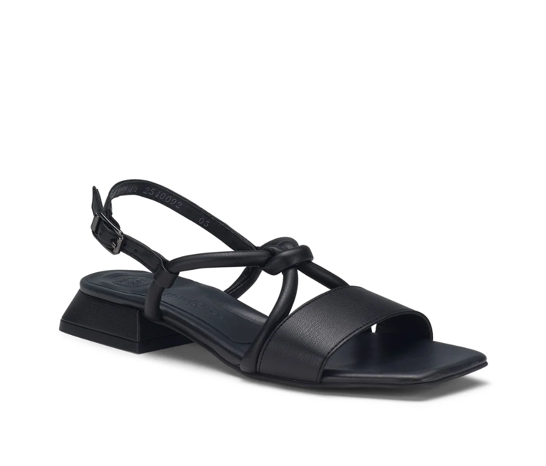 DREAM BLACK