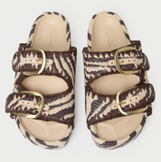 NICO ZEBRA
