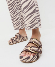 NICO ZEBRA