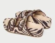 NICO ZEBRA