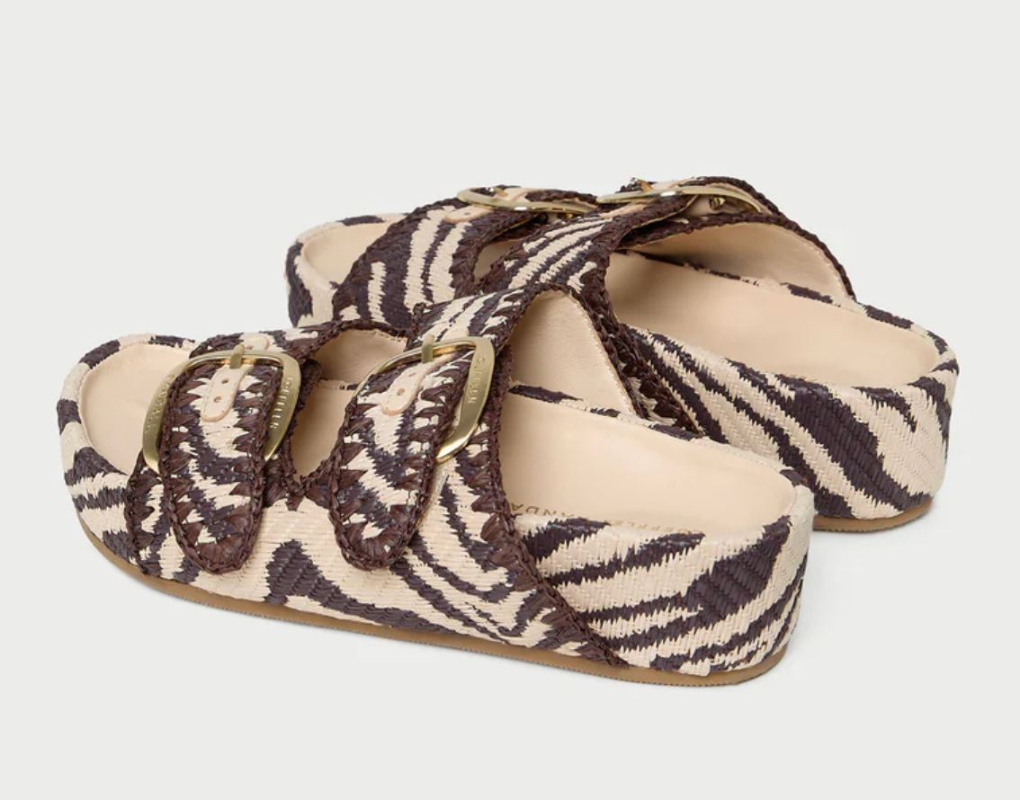 NICO ZEBRA
