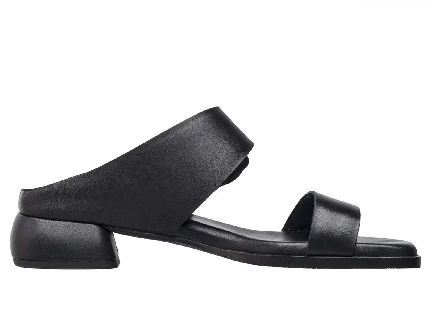 B20 LILY BLACK