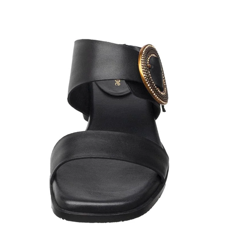 B20 LILY BLACK