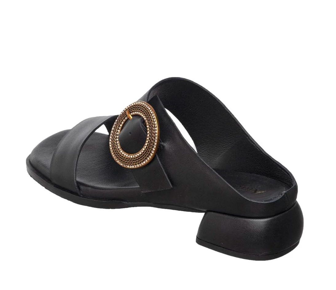 B20 LILY BLACK