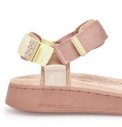 LINE TRICOLOR TAUPE