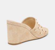 HOLTA STUD CAMEL