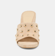 HOLTA STUD CAMEL