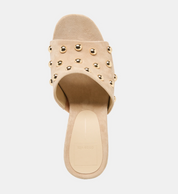 HOLTA STUD CAMEL