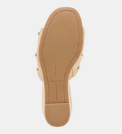 HOLTA STUD CAMEL
