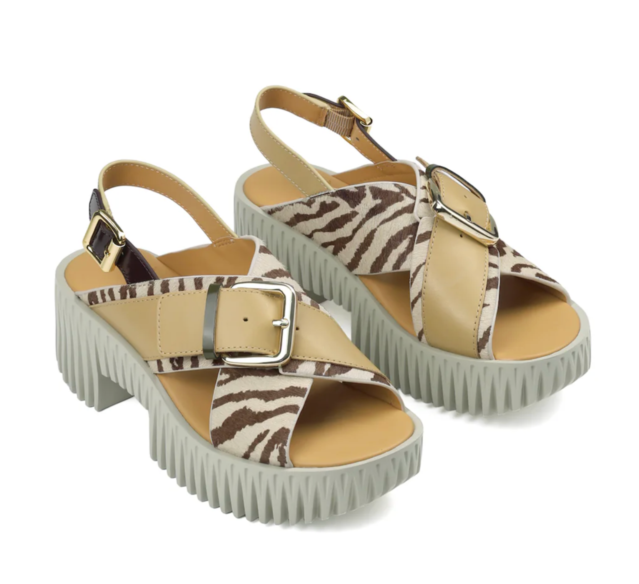 PLIA ZEBRA