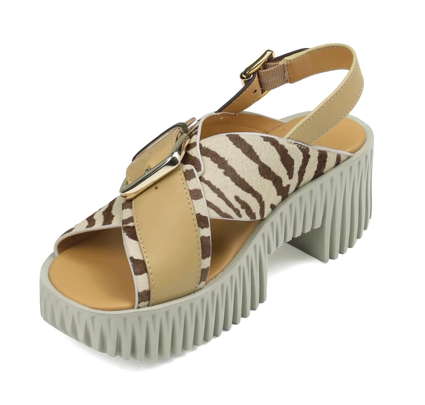 PLIA ZEBRA
