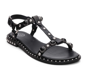 PEBBLE BLACK