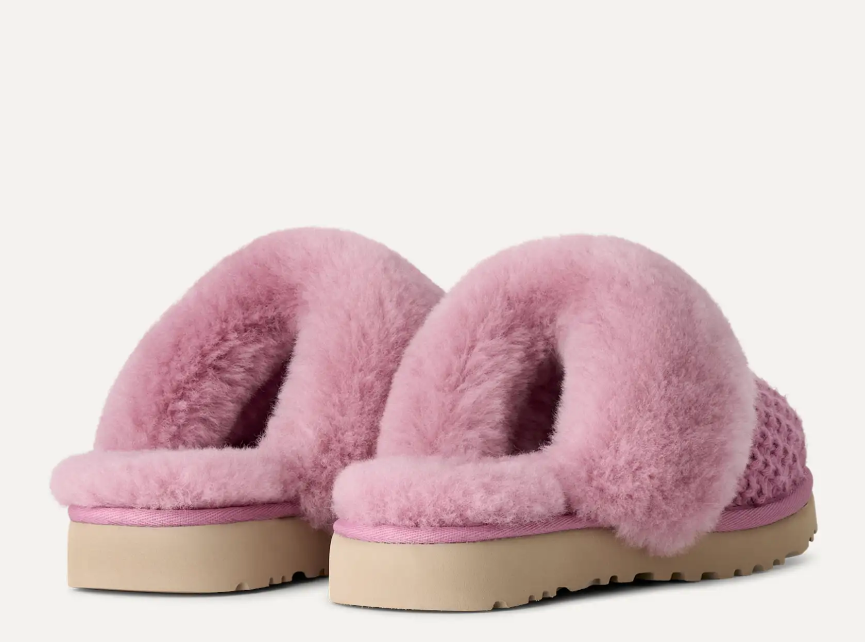 COZY DUSTY ORCHID