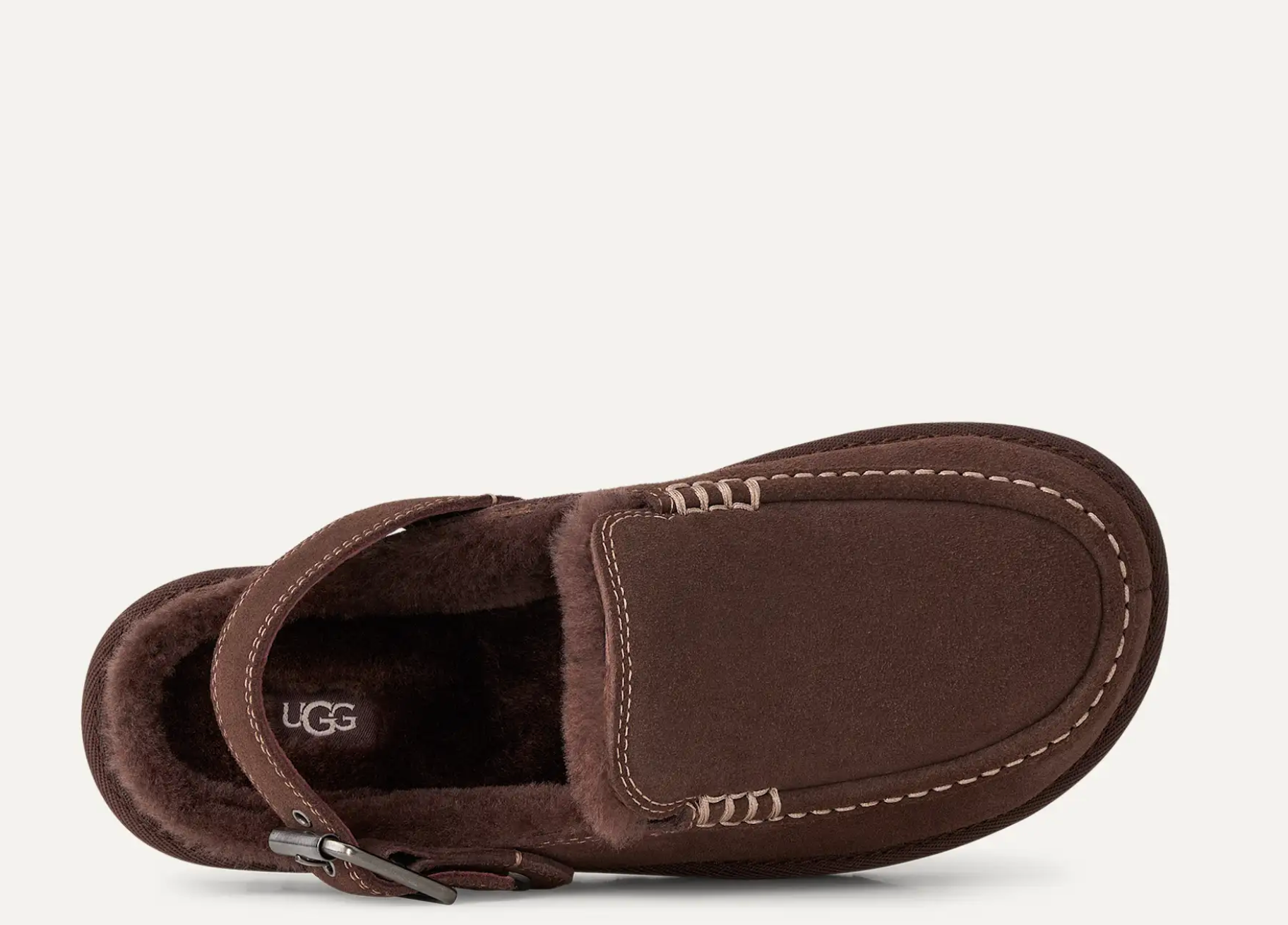 GOLDENSTAR EVELINA BURNT CEDAR