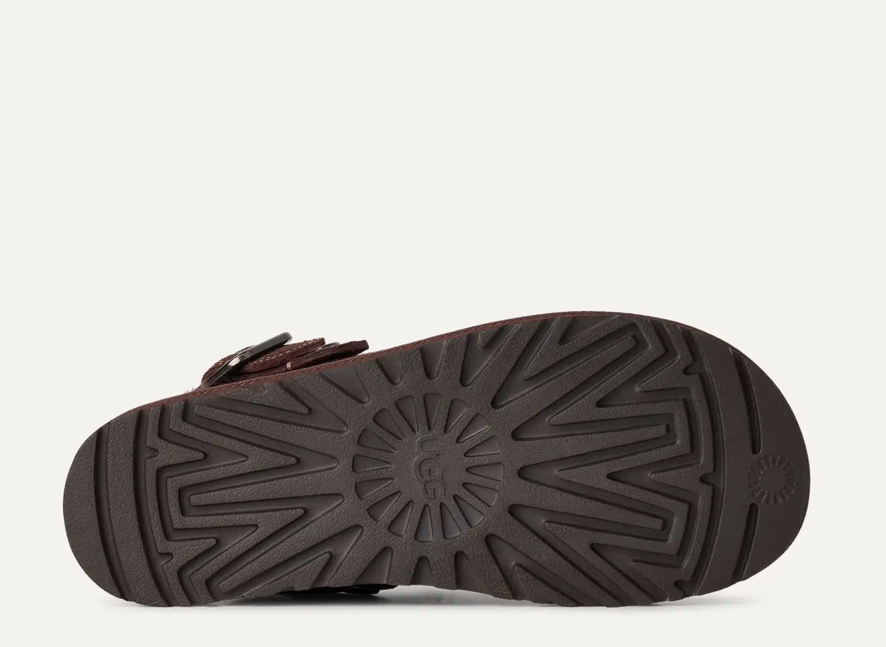 GOLDENSTAR EVELINA BURNT CEDAR