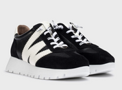 ODISEI 76 BLACK
